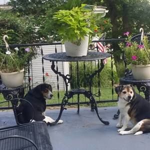 Meet your Posher, Edna